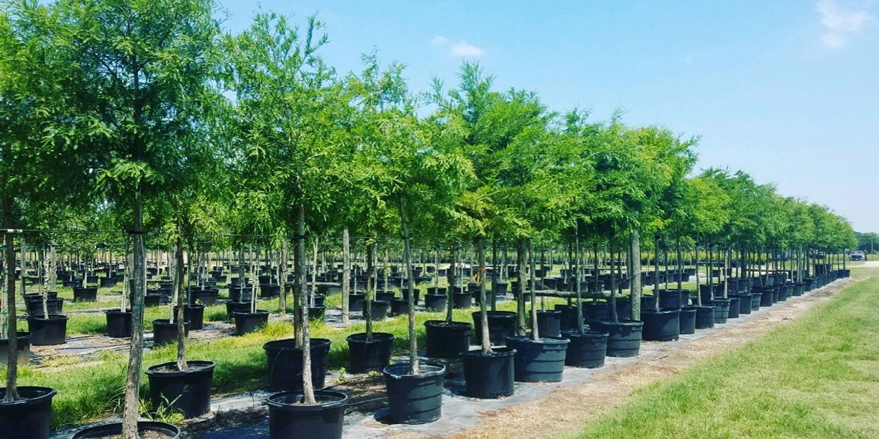 Delivery & Installation